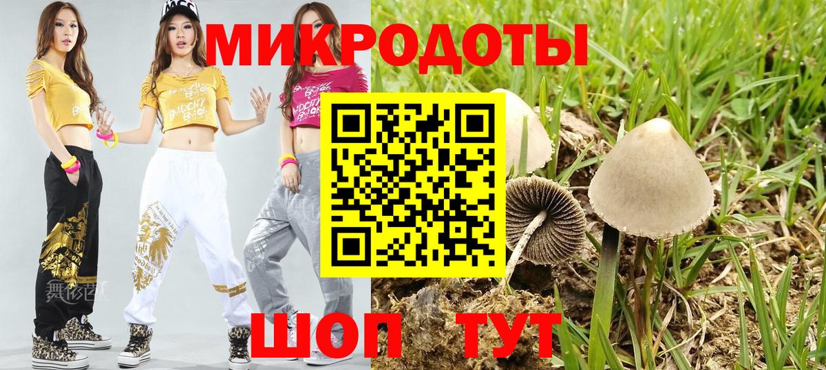 Галлюциногенные грибы Psilocybine cubensis Энгельс